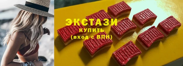 стаф Ельня
