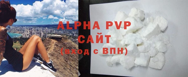 стаф Ельня