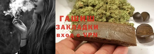 стаф Ельня