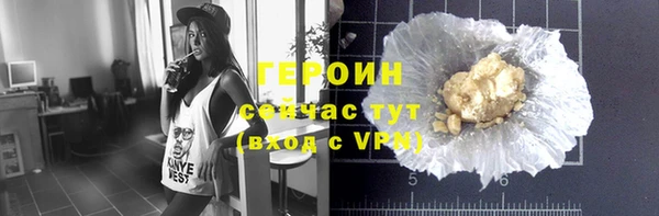 стаф Ельня