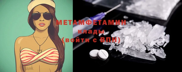 стаф Ельня