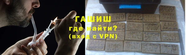 стаф Ельня