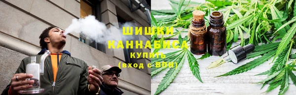 стаф Ельня