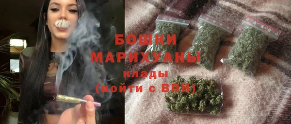 стаф Ельня