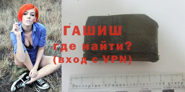 стаф Ельня
