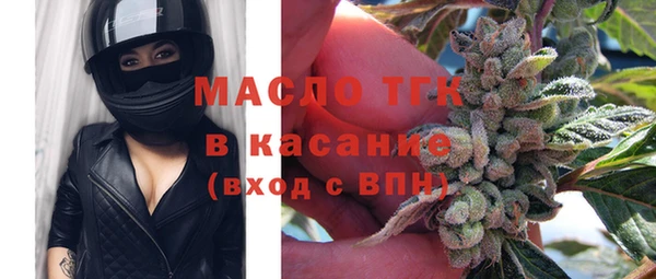 стаф Ельня