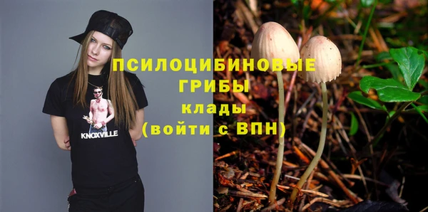 соль курить ск Заводоуковск
