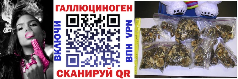 продажа наркотиков  Карасук  Галлюциногенные грибы ЛСД 